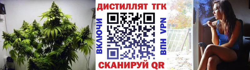 ТГК концентрат  Белинский 